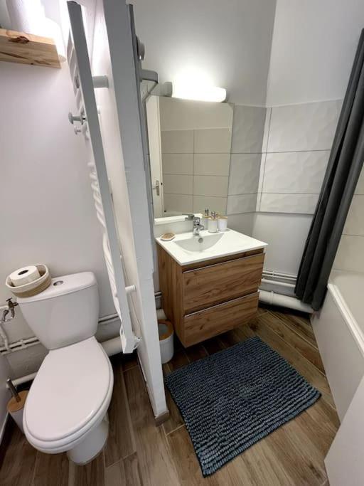 The Jungle Studio, Loggia & Parking Dans Residence Romans-sur-Isère Εξωτερικό φωτογραφία