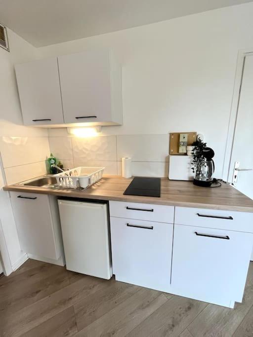 The Jungle Studio, Loggia & Parking Dans Residence Romans-sur-Isère Εξωτερικό φωτογραφία