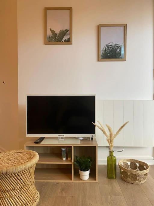 The Jungle Studio, Loggia & Parking Dans Residence Romans-sur-Isère Εξωτερικό φωτογραφία