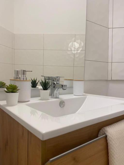 The Jungle Studio, Loggia & Parking Dans Residence Romans-sur-Isère Εξωτερικό φωτογραφία